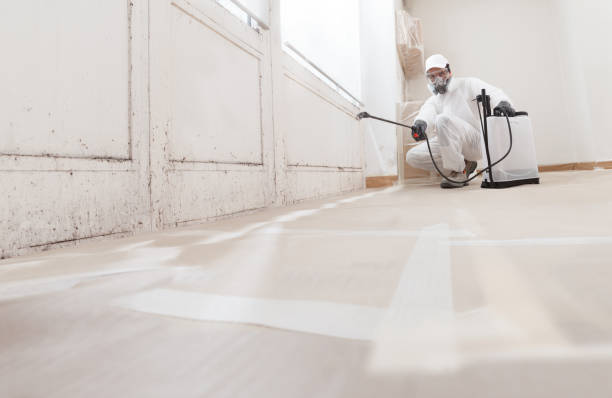 24/7 Emergency Mold Remediation experts in Wade, NC
