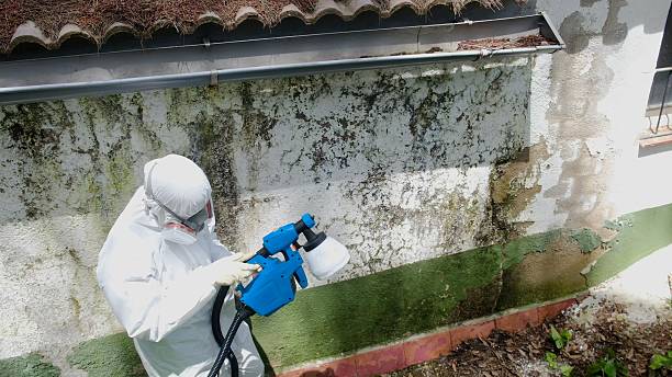 Top rated local Mold Remediation specialists in Wade, NC